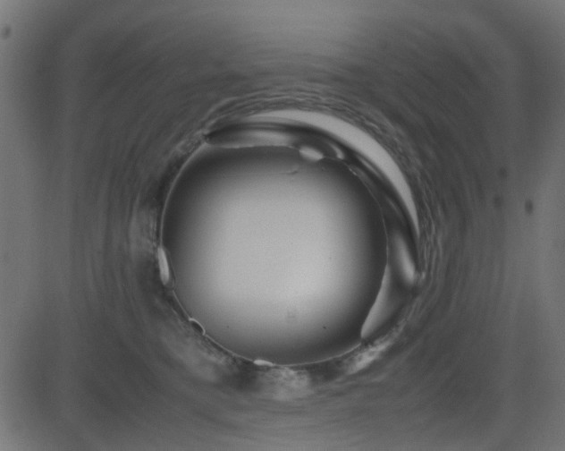 X0000082970421200702011403
