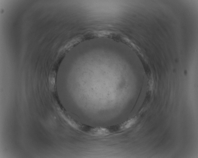 X0000082970427200702011403
