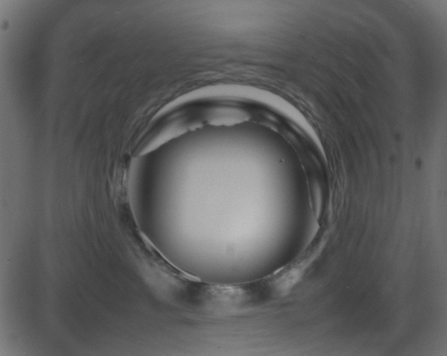 X0000082970429200702011403