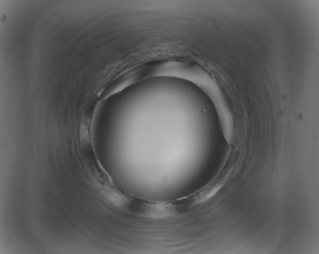 X0000082970432200702011403