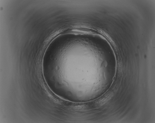X0000082970433200702011402
