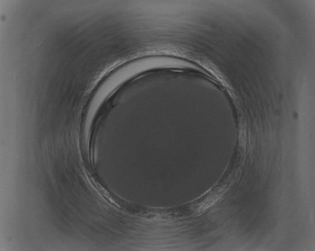 X0000082970434200702011402