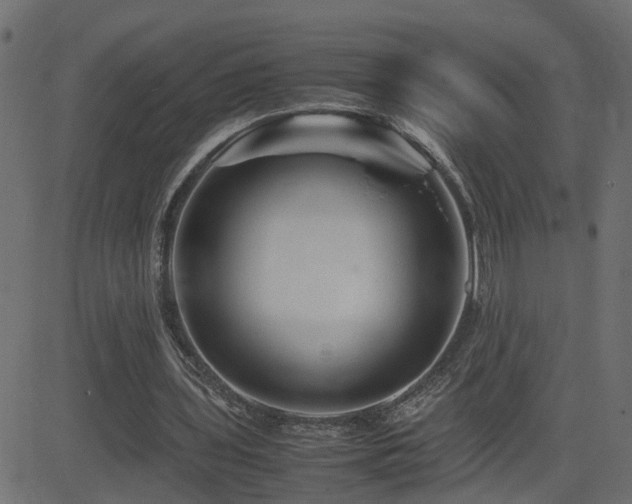 X0000082970435200702011402