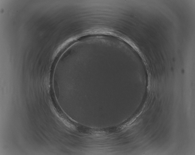 X0000082970438200702011402