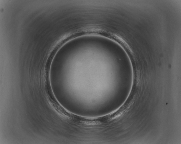 X0000082970439200702011402