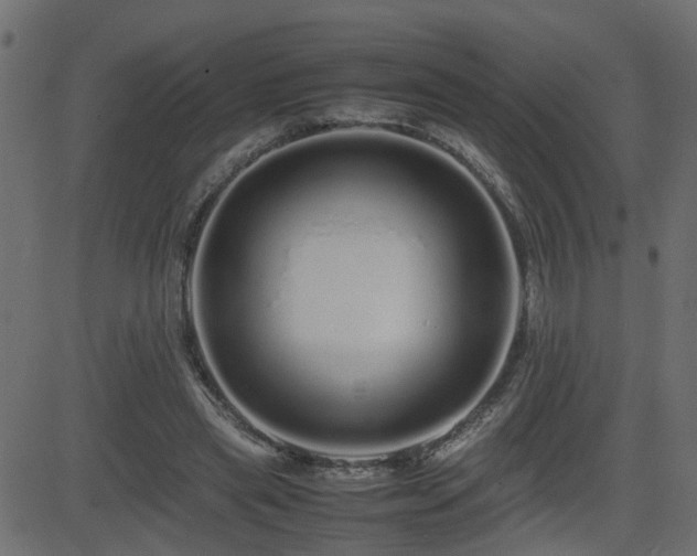 X0000082970445200702011402