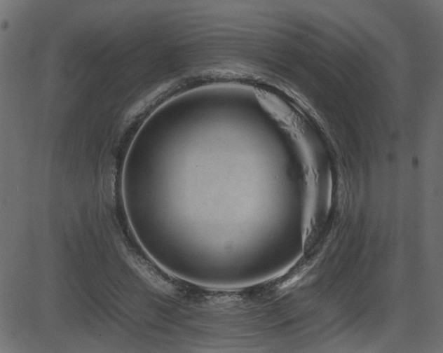 X0000082970446200702011402