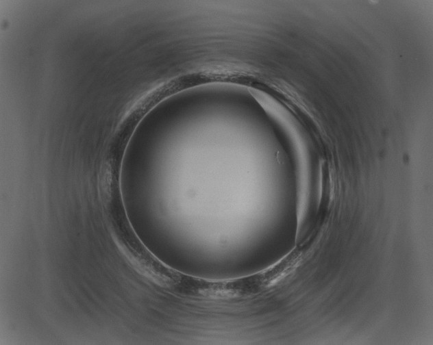 X0000082970448200702011402