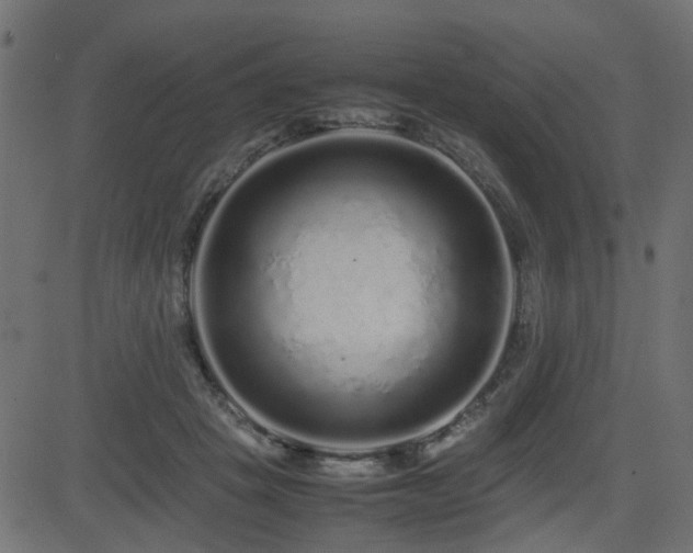X0000082970457200702011402