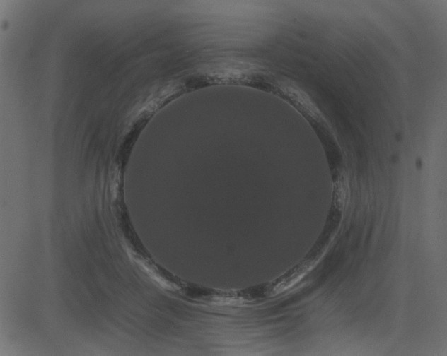 X0000082970458200702011402