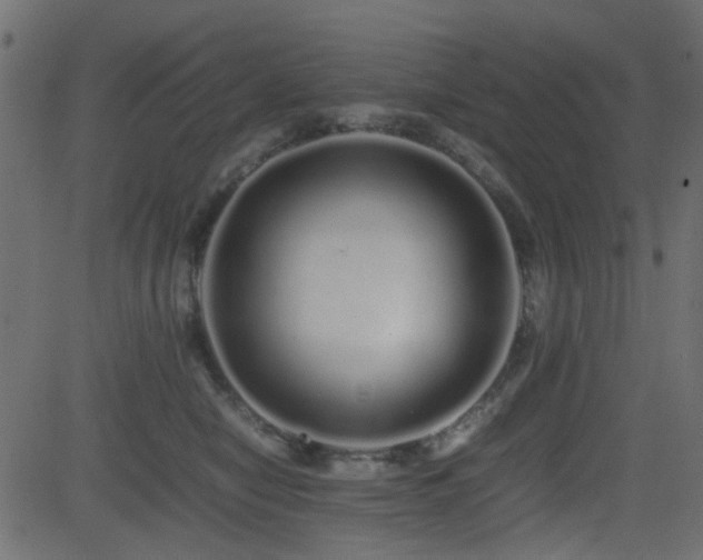 X0000082970470200702011402