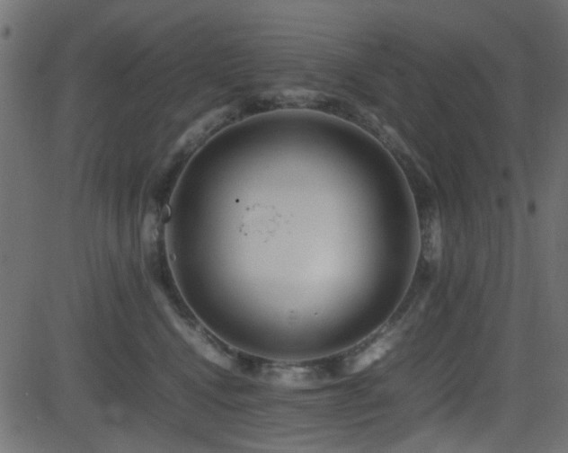 X0000082970472200702011402