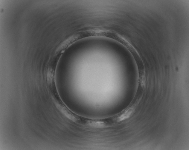 X0000082970476200702011403