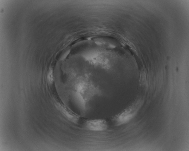X0000082970479200702011403