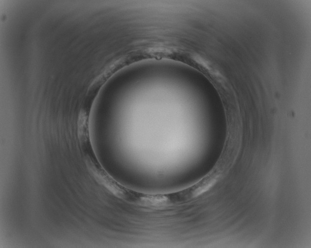 X0000082970480200702011403