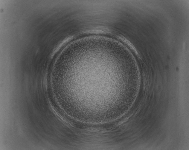 X0000082970482200702011402