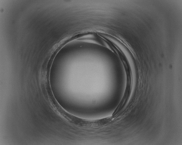 X0000082970485200702011402