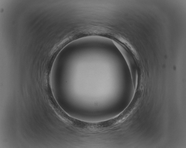 X0000082970489200702011402