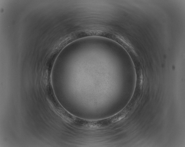 X0000082970498200702011402