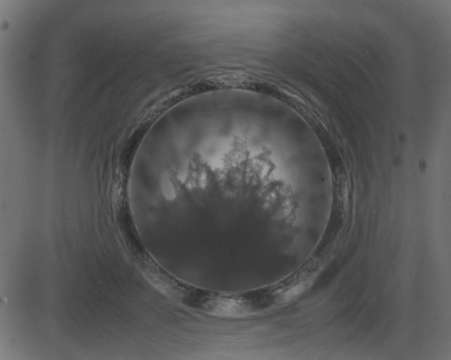 X0000082970507200702011401