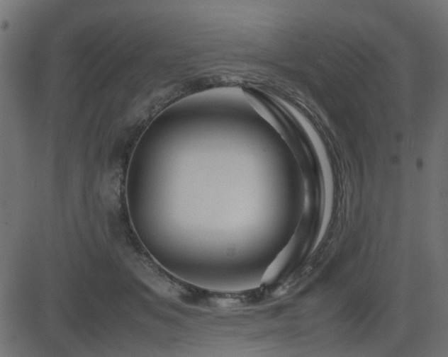X0000082970509200702011401