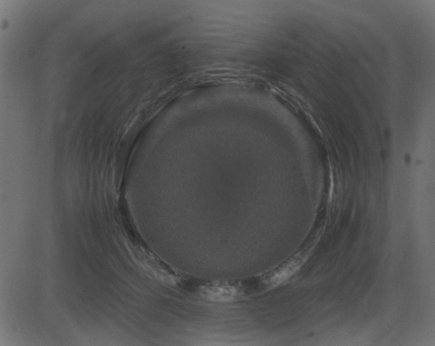X0000082970512200702011401