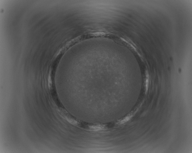 X0000082970516200702011401