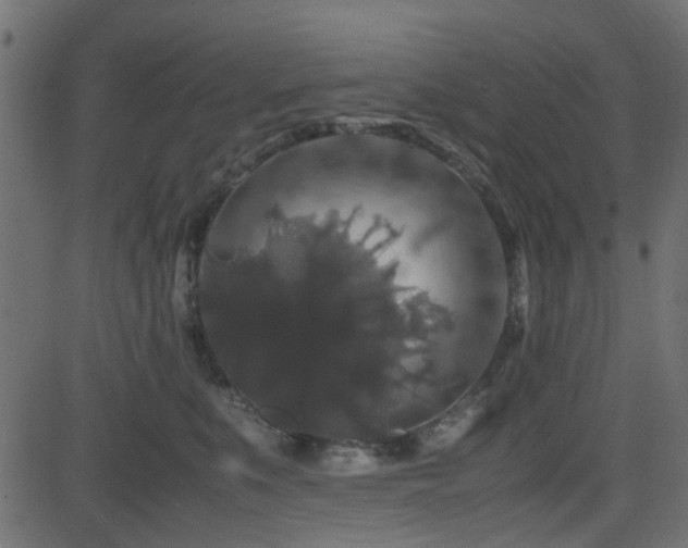 X0000082970519200702011401