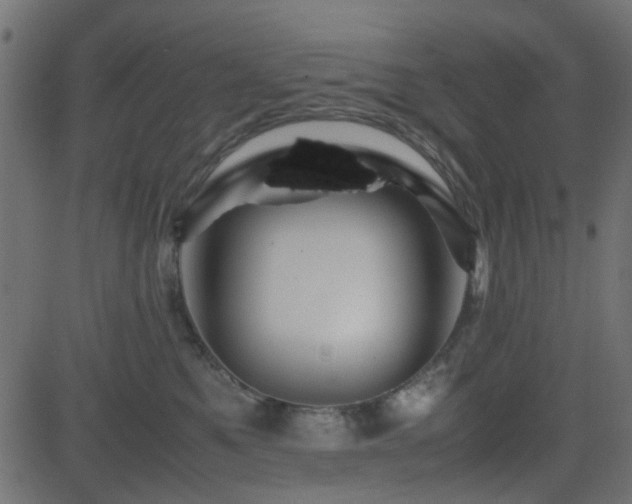 X0000082970521200702011401
