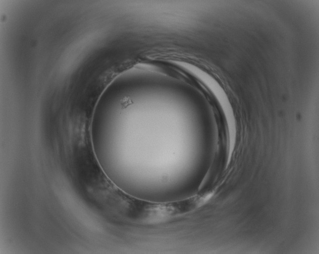 X0000082970525200702011401