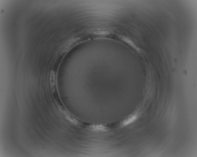 X0000082970528200702011401