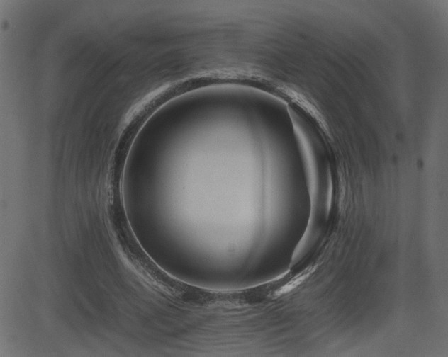 X0000082970536200702011400