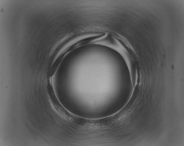 X0000082970538200702011400