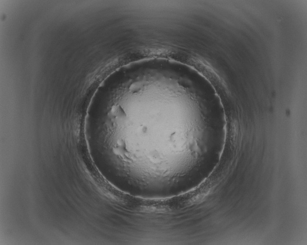 X0000082970545200702011401
