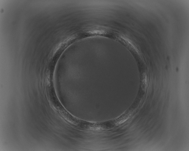 X0000082970547200702011401