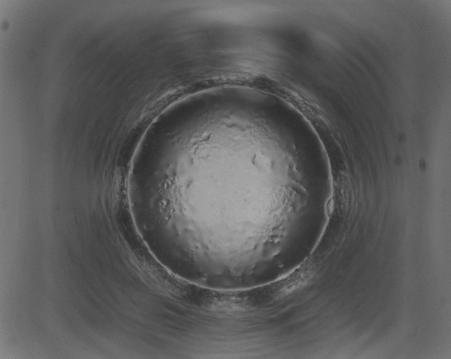 X0000082970550200702011401