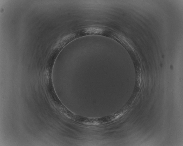 X0000082970551200702011401