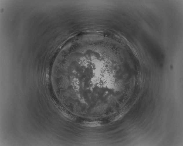 X0000082970553200702011401