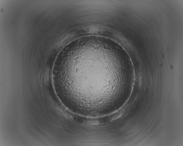 X0000082970554200702011401