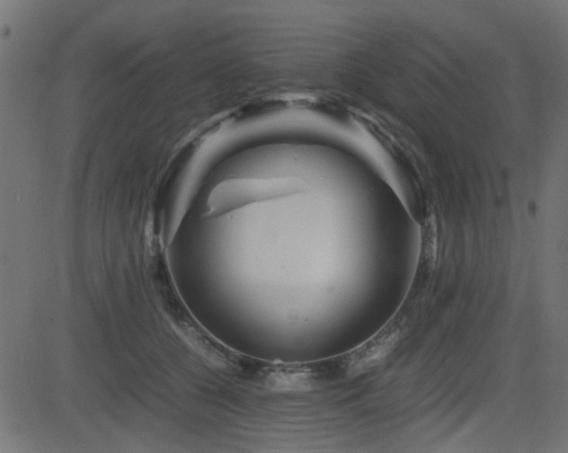 X0000082970560200702011401