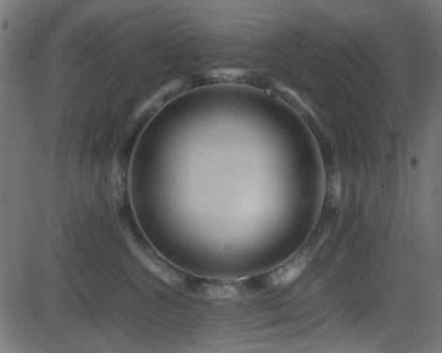 X0000082970572200702011401