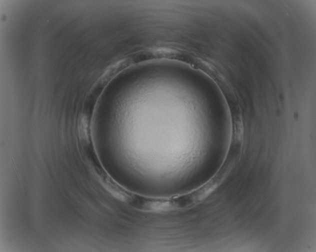 X0000082970575200702011401