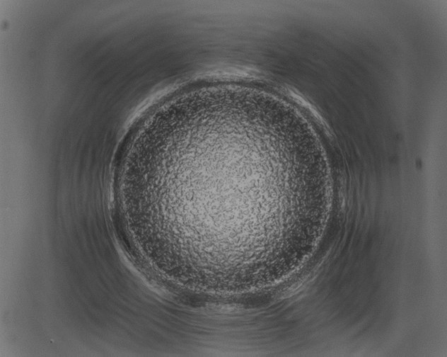 X0000082970582200702011400