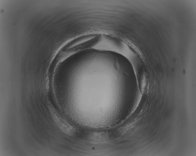 X0000082970584200702011400