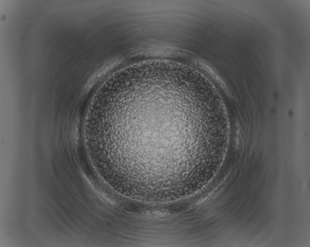 X0000082970586200702011400
