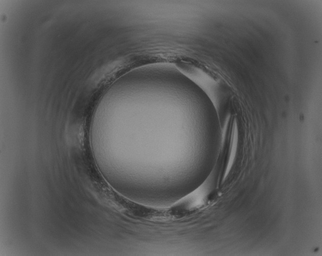 X0000082970595200702011400
