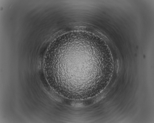 X0000082970602200702011400