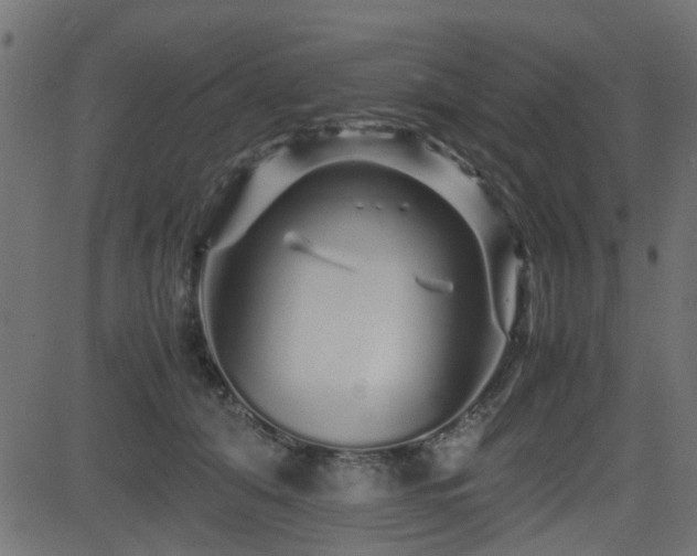 X0000082970608200702011400