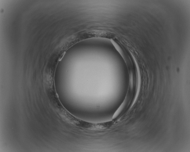X0000082970609200702011400