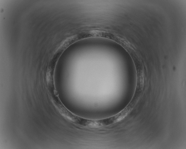 X0000082970611200702011400